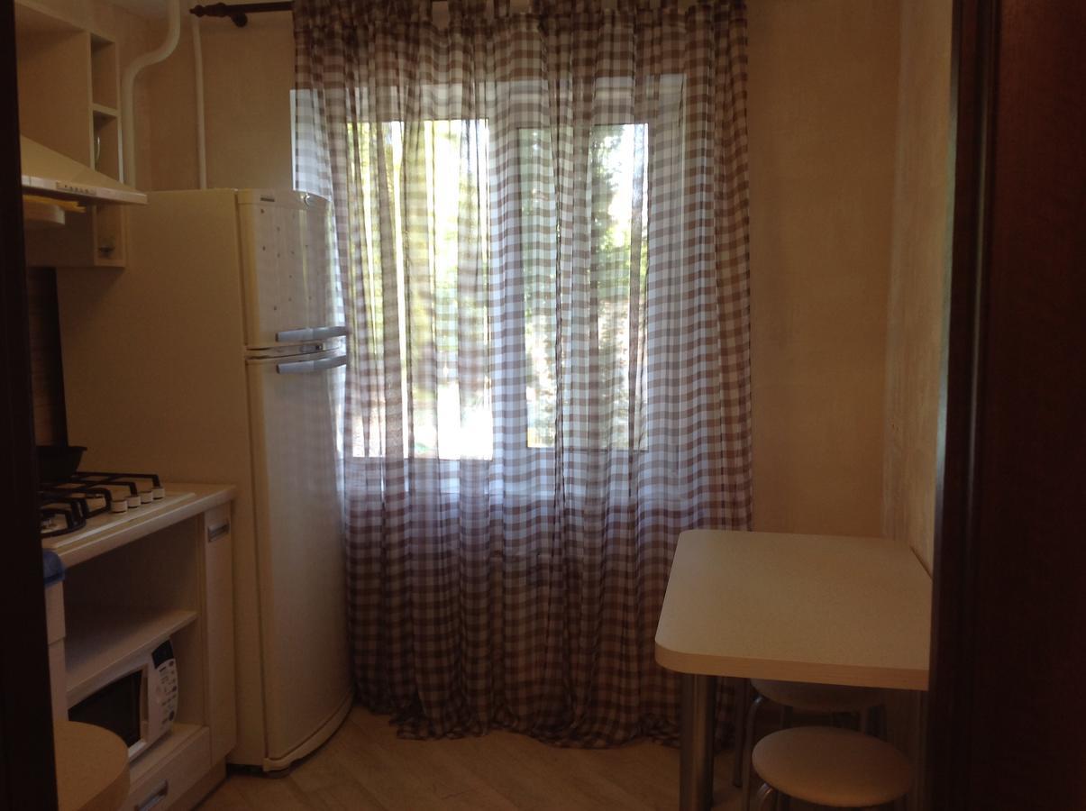 Flat Apartman Kijev Kültér fotó